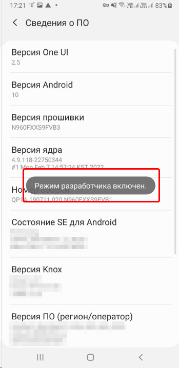 Вы стали разработчиком